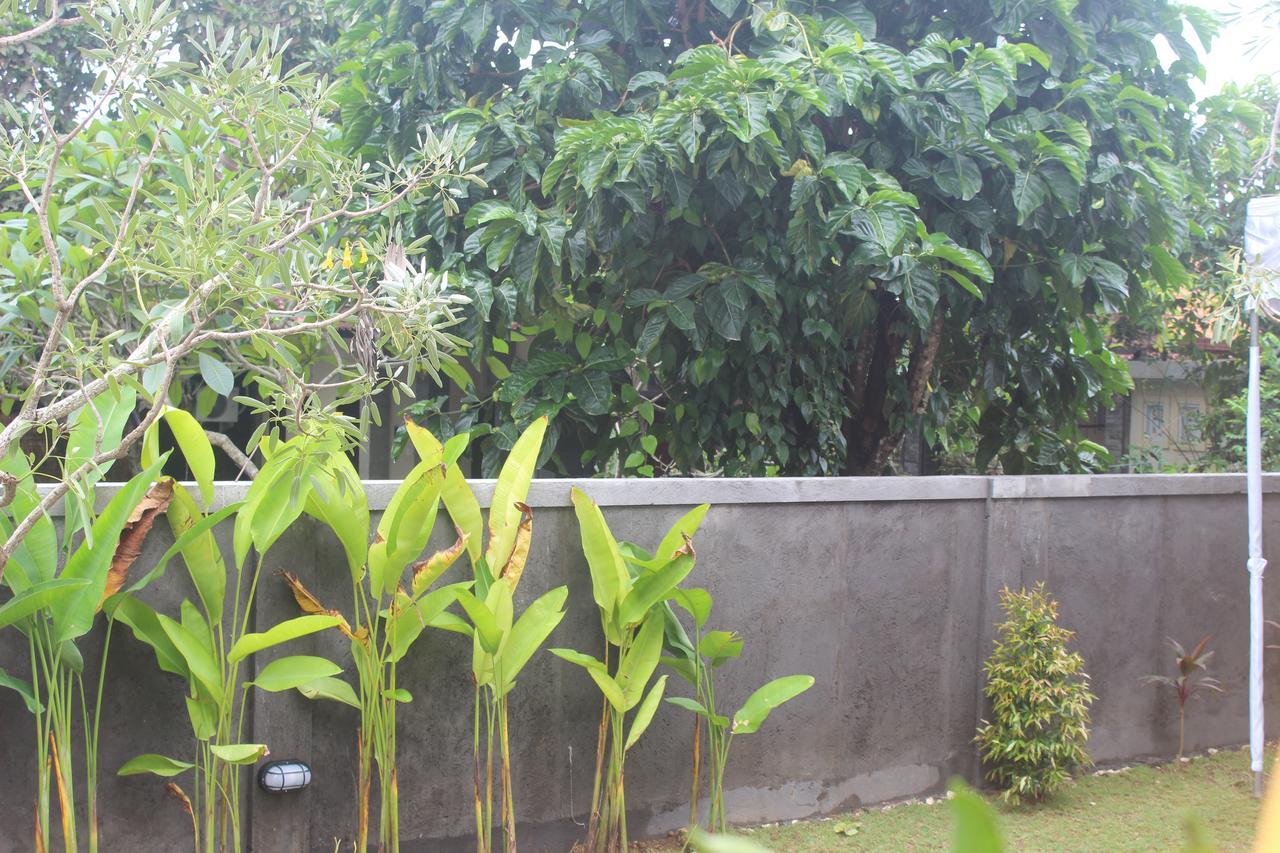 Adi Bali Homestay Uluwatu Exteriér fotografie